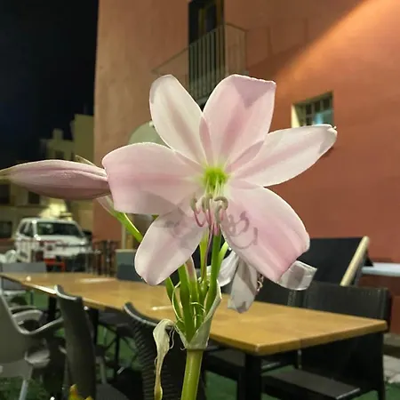 Restaurant & Cabrit