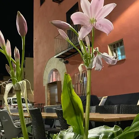Restaurant & Cabrit Guest house