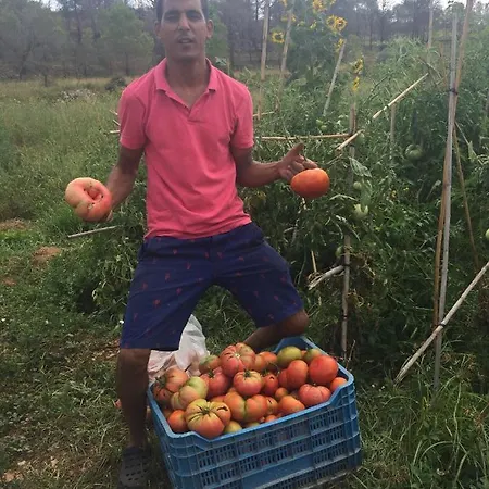 بيت ضيافة Restaurant & Cabrit 4*