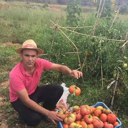 Restaurant & Cabrit 4*