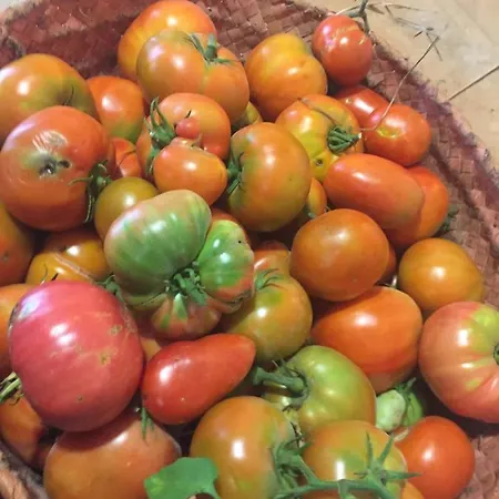 Restaurant & Cabrit بيت ضيافة 4*