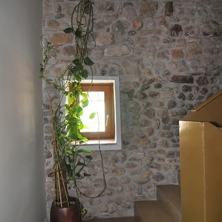 Restaurant & Cabrit Guest house *