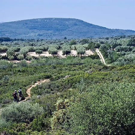 Restaurant & Cabrit Guest house