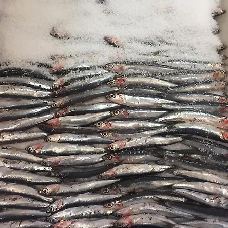 Restaurant & Cabrit 4* Sant Mateu