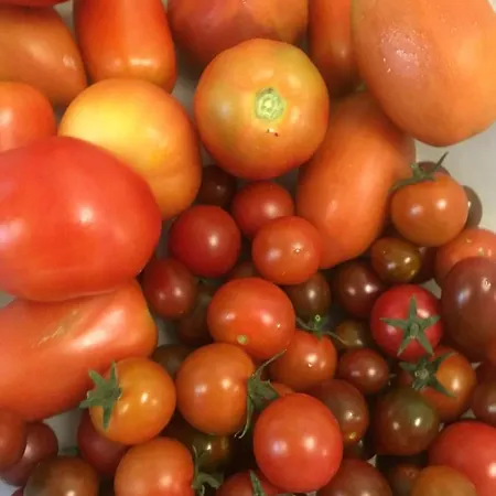 Vendégház Restaurant & Cabrit Sant Mateu