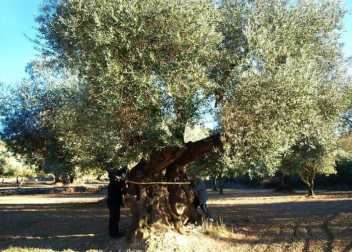 Restaurant & Cabrit Gasthof Sant Mateu